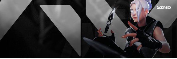 ZNDValorant Profile Banner