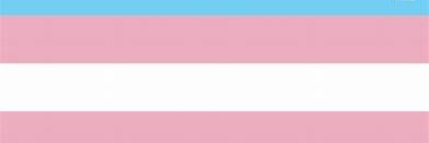 fjghjhfjfhjhg banner