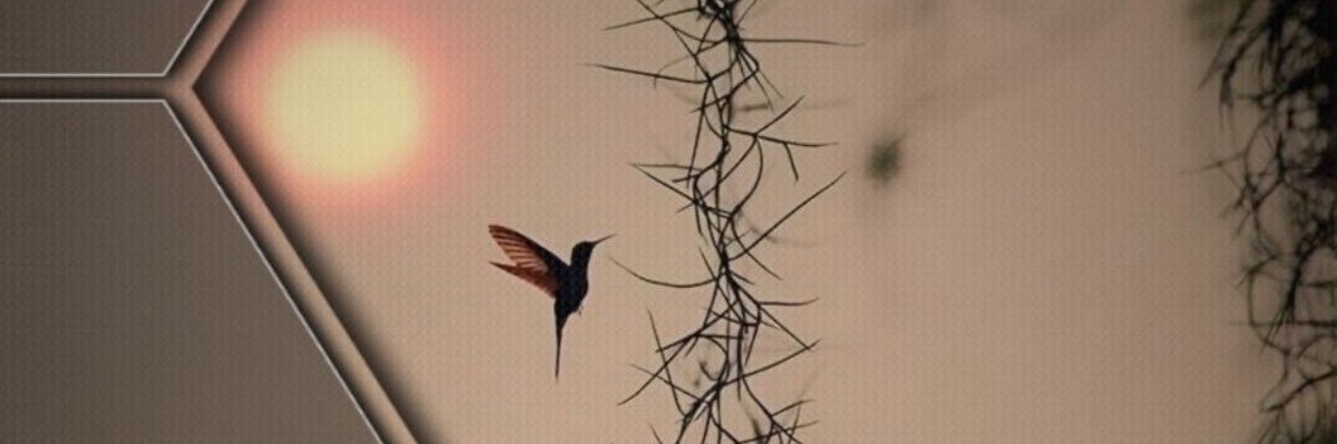 llara banner