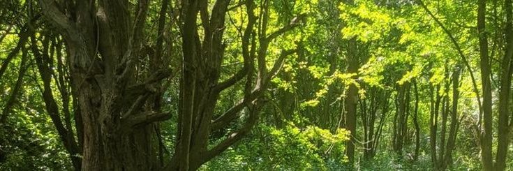 gretanberg's profile banner image