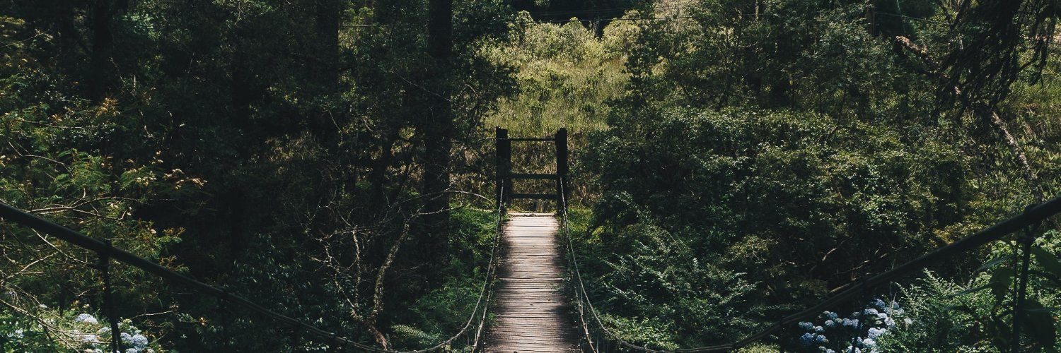 paulmug's profile banner image