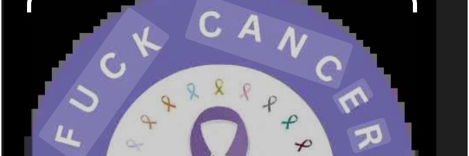 $FUCK banner