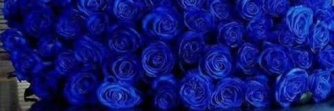 vina61095's profile banner image