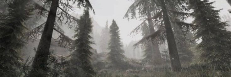 alana ︎ 𓏵 banner