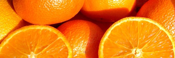 0xbeea Profile Banner