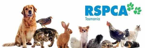 RSPCA Tasmania Profile Banner