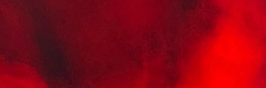 🐢 ᵖᵗ² banner