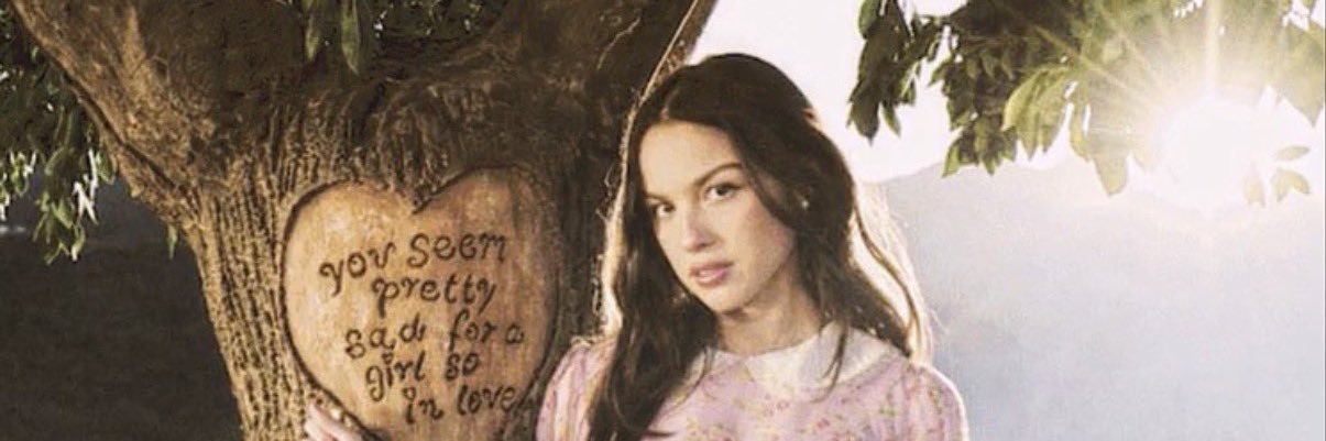 🐢 ᵖᵗ² banner