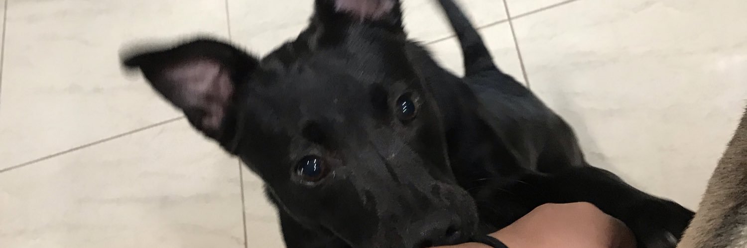 bridgetm99's profile banner image