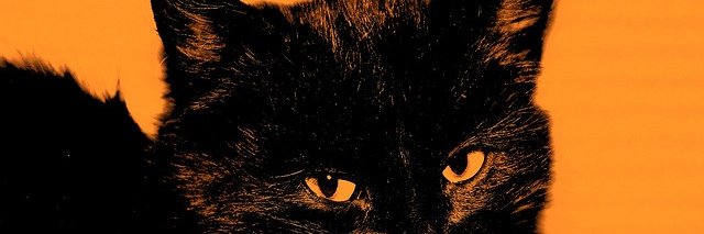 ratattackp3's profile banner image