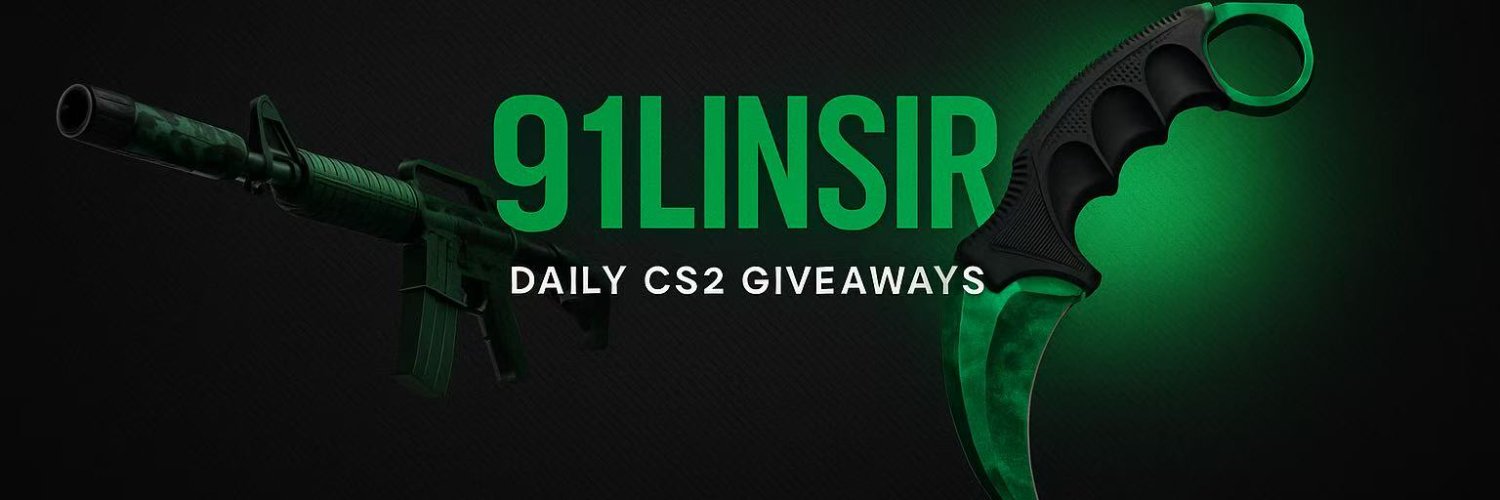 91linsir banner