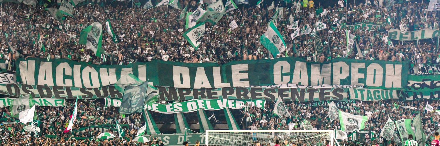 Punk Verde ☭ 🇵🇸 banner