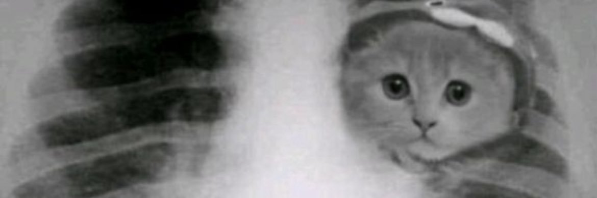 Michael🫐🐾 banner