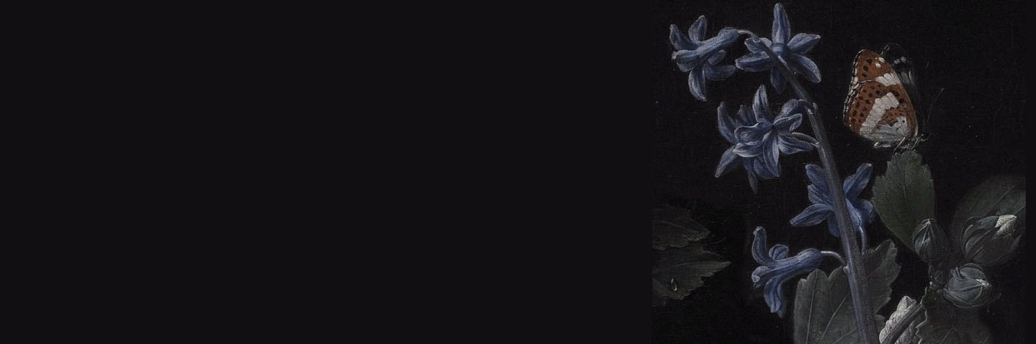 ▮▮▮▮▮▮ banner