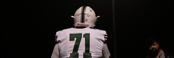 PiresLevi11 Profile Banner