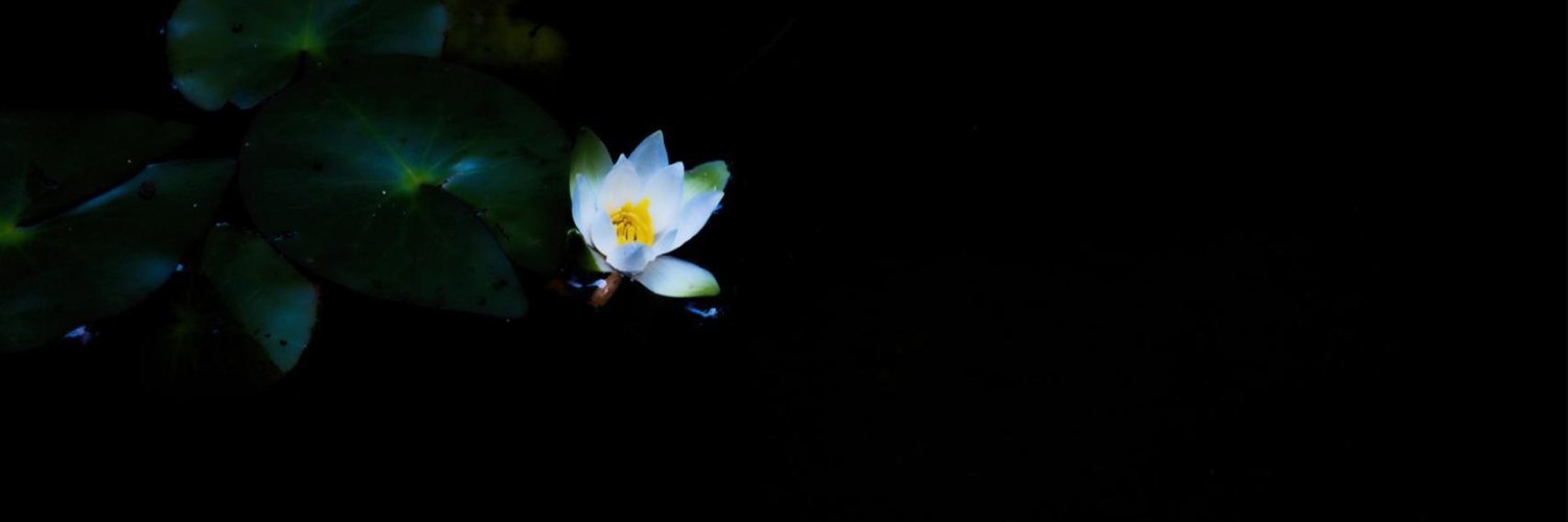 nw88269's profile banner image