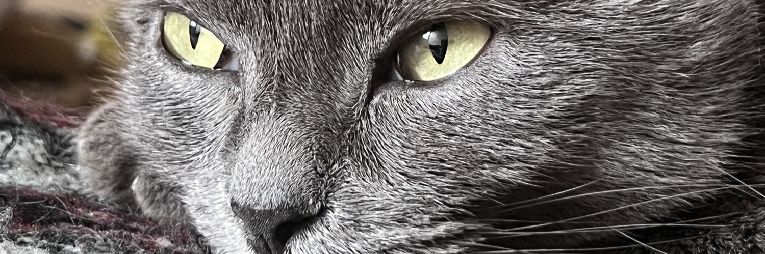 cowboychrs's profile banner image