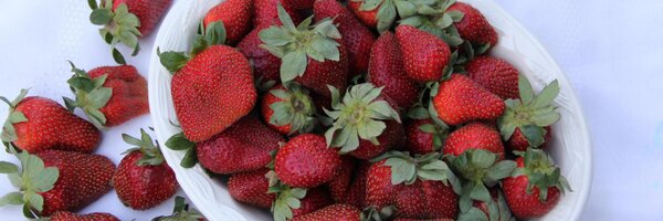 SouthernFoodFun Profile Banner