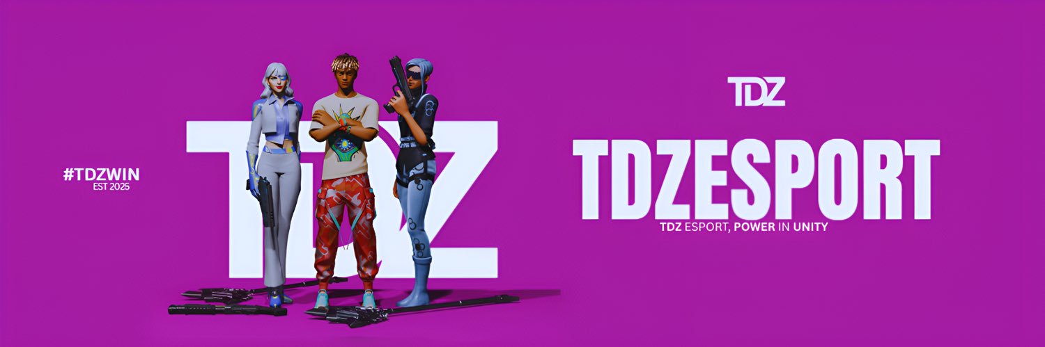 TDZ Esport banner
