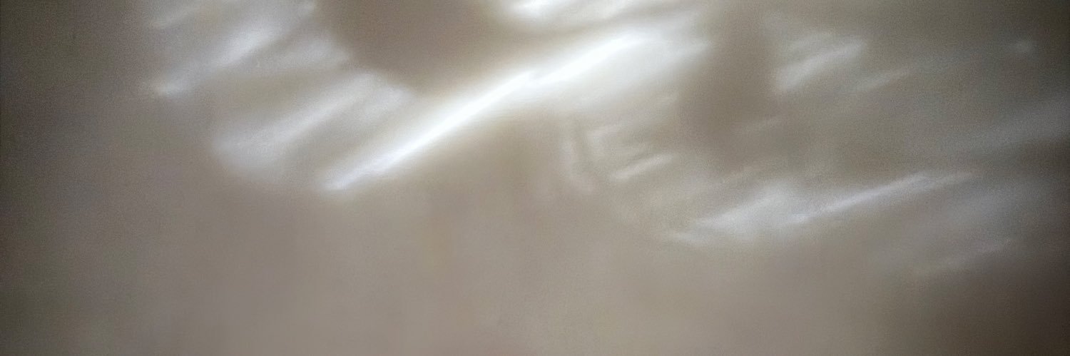 n2ik503's profile banner image