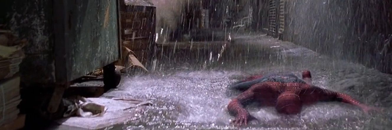 Cat, Anyways. banner