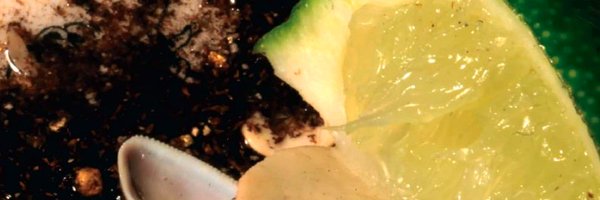 samueldiamond Profile Banner