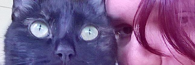 Amandacottom's profile banner image