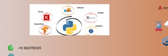 Dissertation Assist Box banner