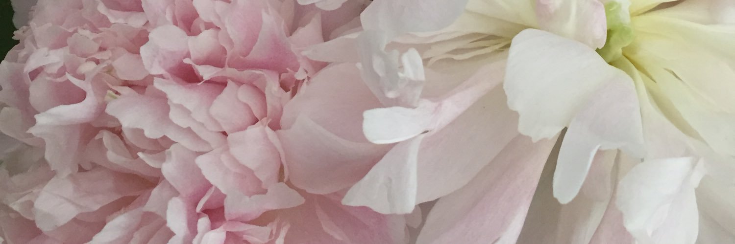 LioneKat's profile banner image
