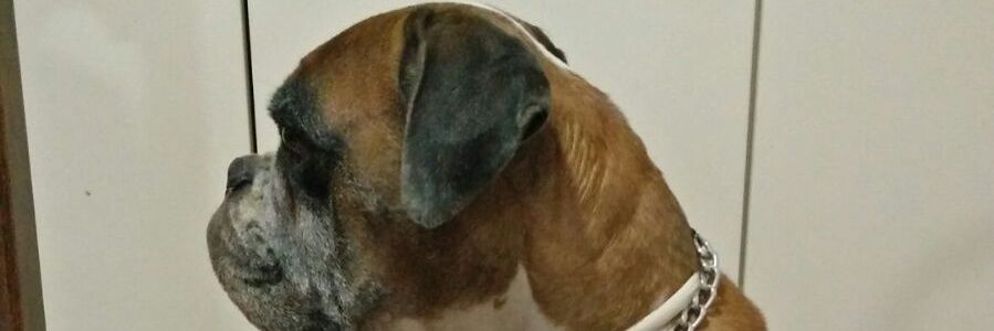 Sergio5269's profile banner image