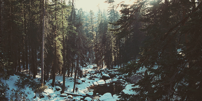 Charles_F23's profile banner image