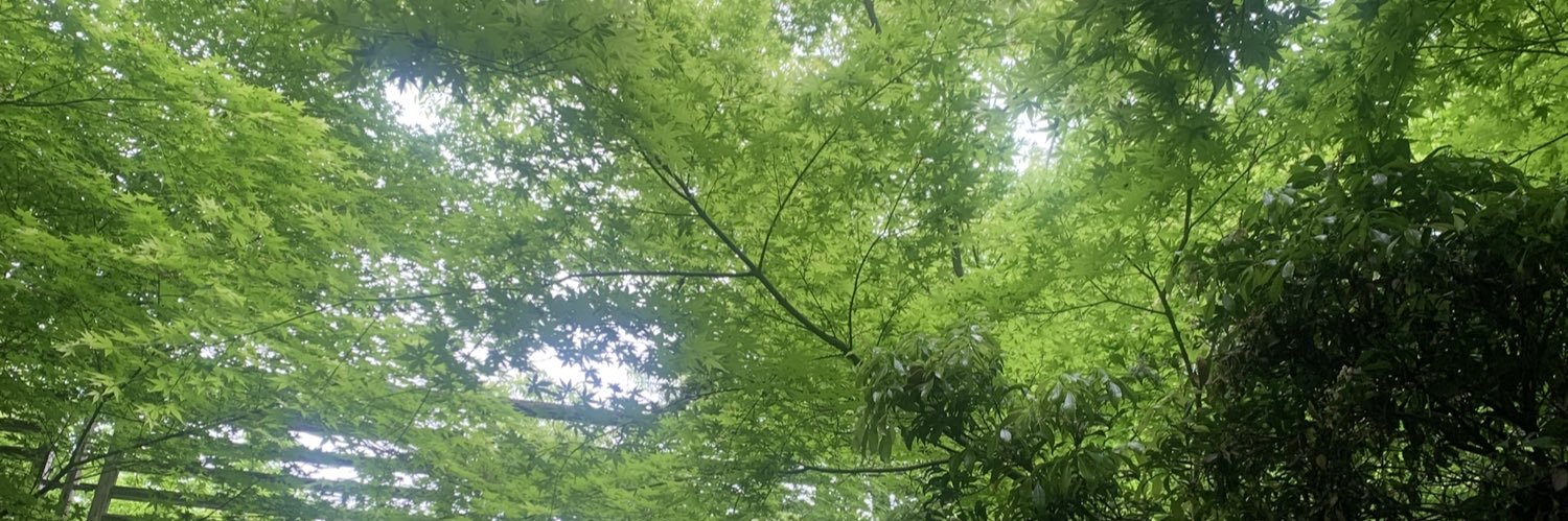 みずき banner