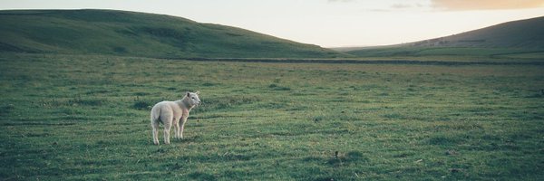 joelterrey3 Profile Banner