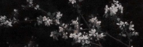 ♱'s banner