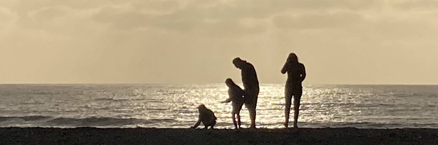 HowIZYourSoul's profile banner image