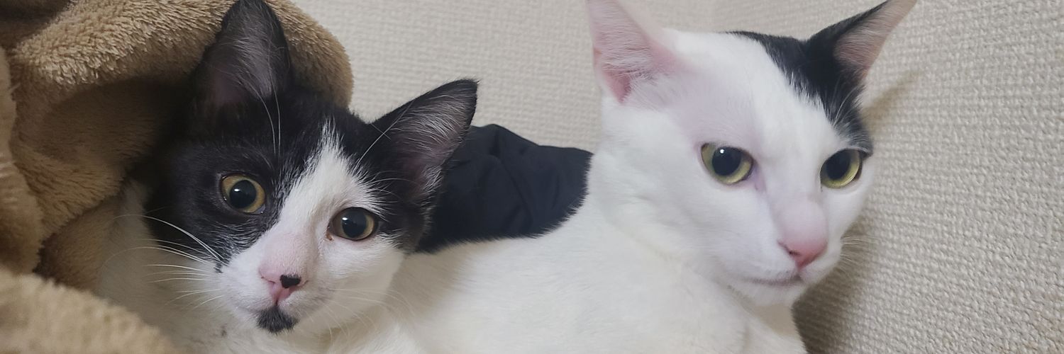 mhiro19841112's profile banner image