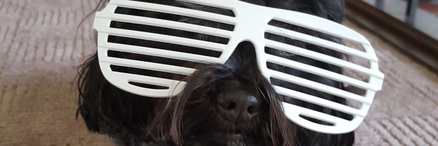 teddyfishman's profile banner image