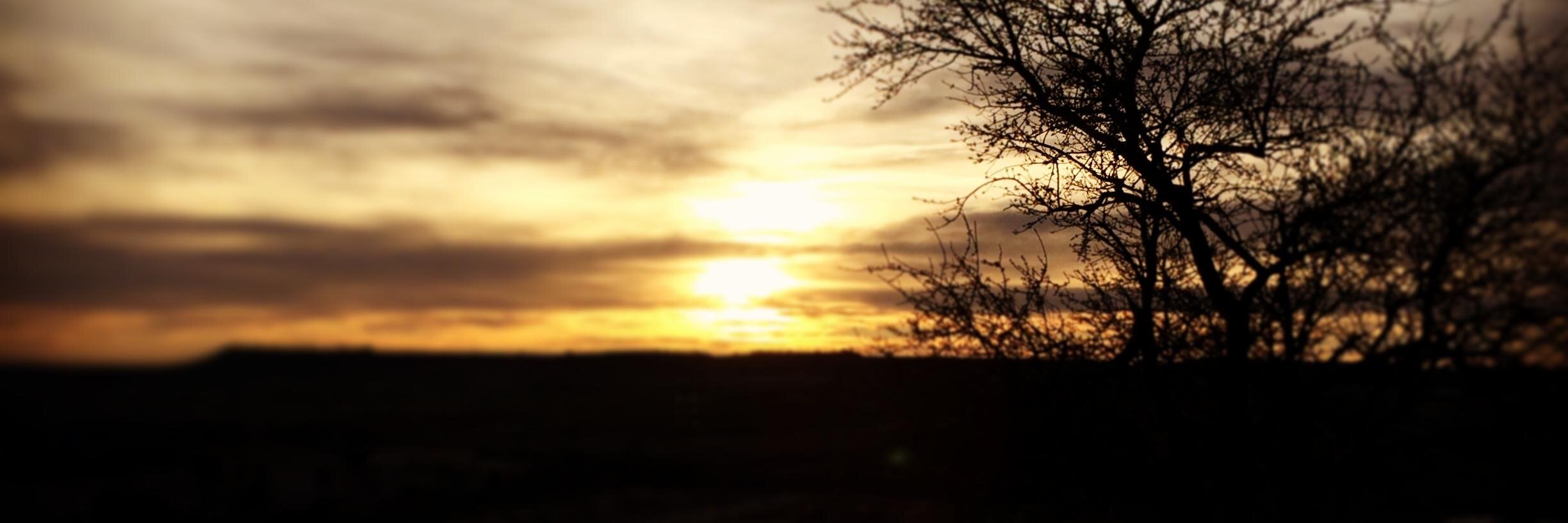 CJMaci's profile banner image