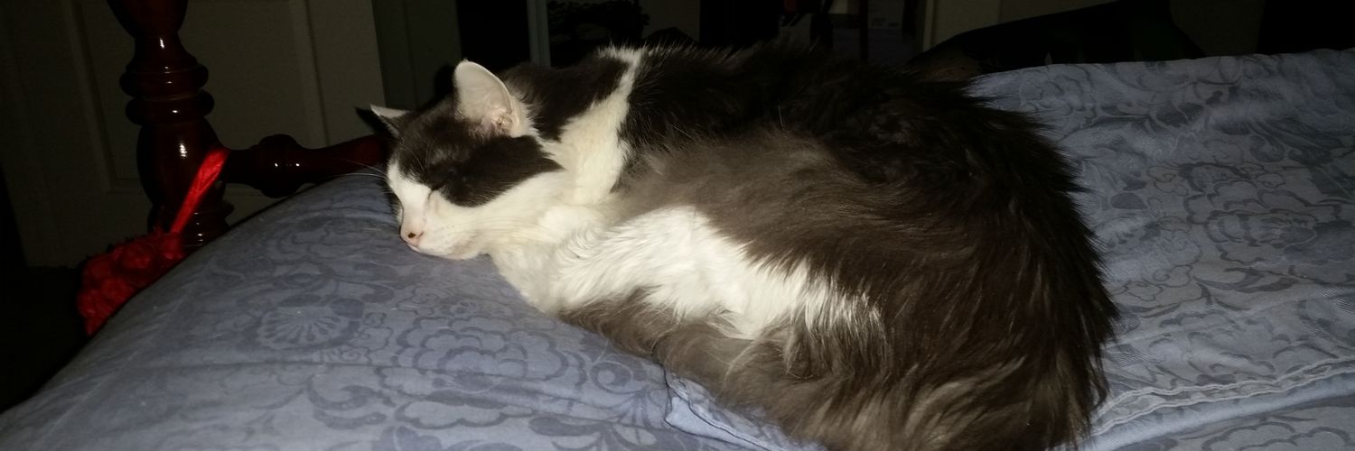 loryn75's profile banner image