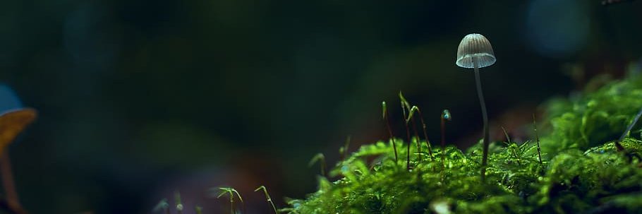 senjoe2000's profile banner image