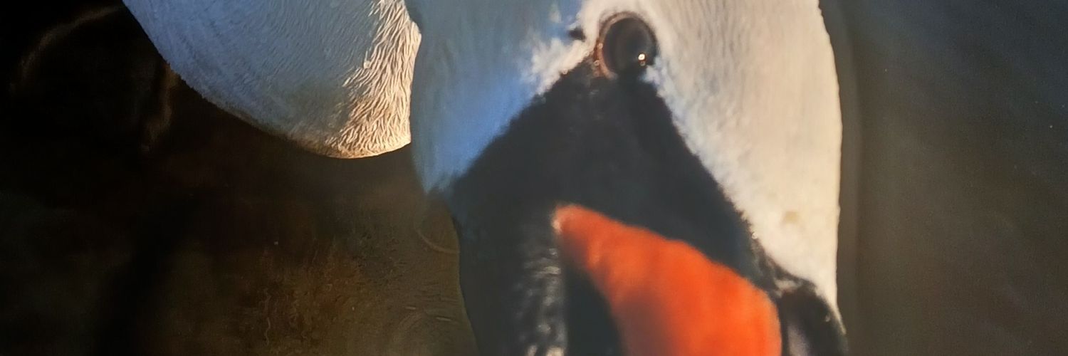 Alle guten Dinge banner