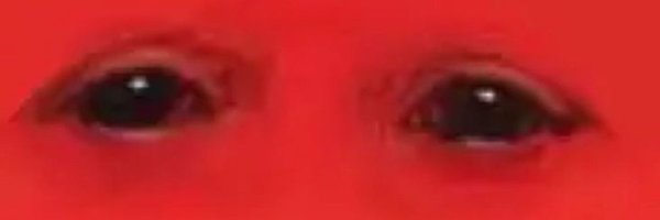 MehMehga Profile Banner