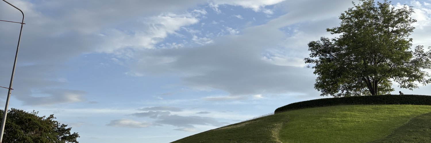 𝓸𝓿𝓮𝓻𝓭𝓸𝓼𝓮. banner