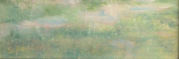 pitae___ Profile Banner