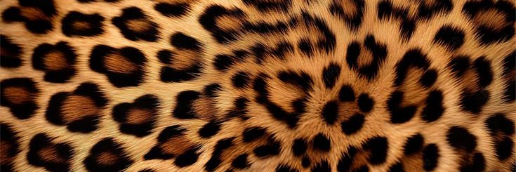 ΛLJUЯ banner