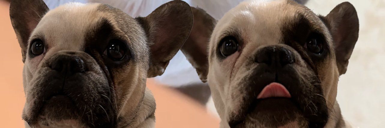 ppaulig23's profile banner image