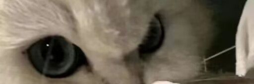 叶落_ banner