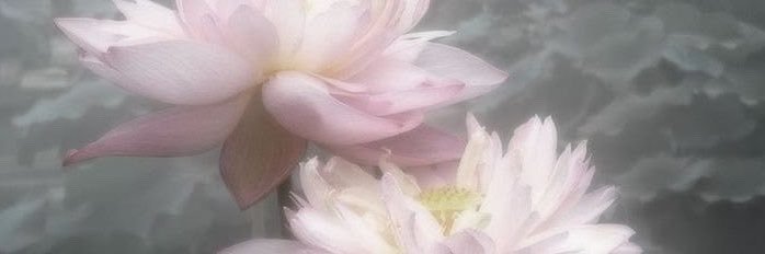 communistpretty's profile banner image