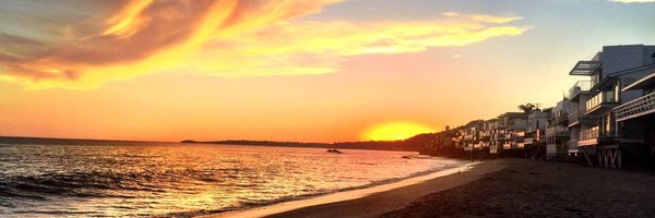 jodimallow Profile Banner