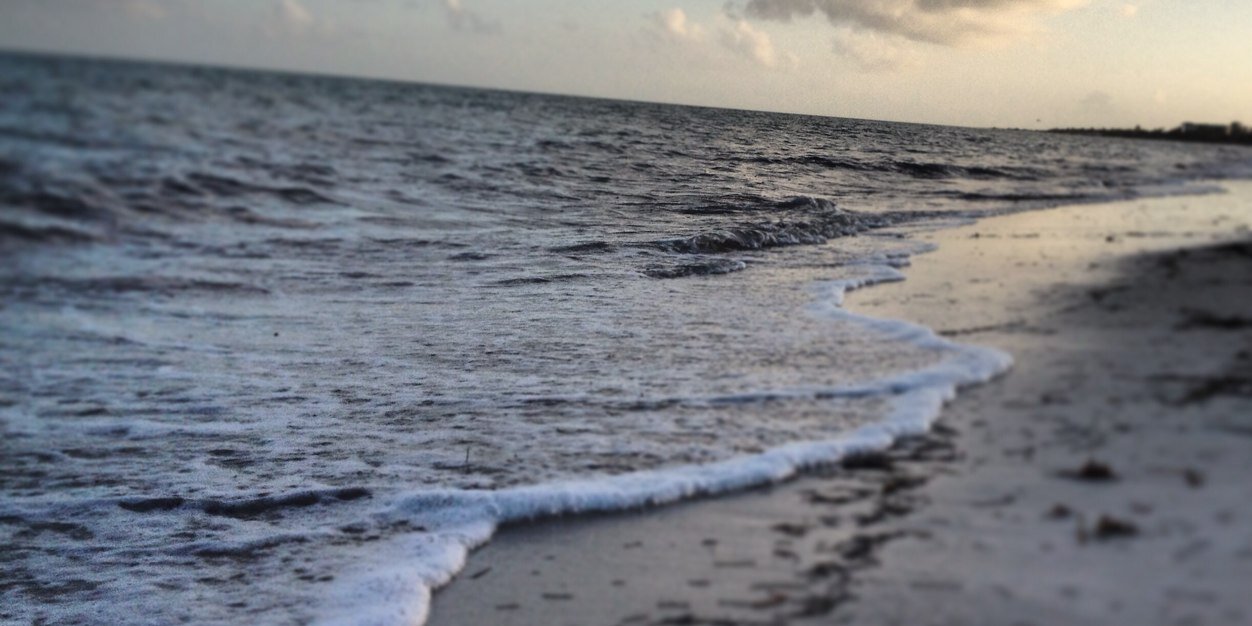 savanna_sutton's profile banner image